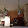 foto 3 - Appartamento in villa di campagna a Lanusei a Ogliastra in Affitto