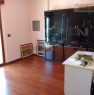 foto 16 - San Benedetto del Tronto appartamento con garage a Ascoli Piceno in Vendita