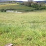 foto 5 - Amelia terreno agricolo con capannone a Terni in Vendita