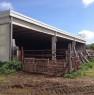 foto 4 - Amelia terreno agricolo con capannone a Terni in Vendita