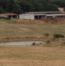 foto 1 - Amelia terreno agricolo con capannone a Terni in Vendita