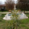 foto 2 - Cerveteri villa immersa nel verde a Roma in Affitto