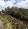 foto 0 - Ogliastro Cilento terreno agricolo a Salerno in Vendita