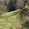 foto 2 - Palombara Sabina terreno agricolo con frutteto a Roma in Vendita