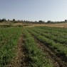 foto 0 - Menfi terreno edificabile a Agrigento in Vendita