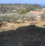 foto 0 - Torrenova terreno edificabile a Messina in Vendita
