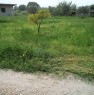 foto 2 - Locri terreno e casa a Reggio di Calabria in Vendita