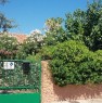 foto 3 - San Teodoro paese villetta con giardino a Olbia-Tempio in Affitto