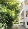 foto 11 - Pinarella di Cervia appartamento ammobiliato a Ravenna in Affitto