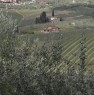 foto 1 - Greve in Chianti appezzamento di terreno agricolo a Firenze in Vendita