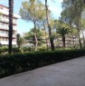 foto 15 - Barletta ampio appartamento in zona Borgovilla a Barletta-Andria-Trani in Vendita