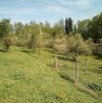 foto 4 - Cesena immobile agricolo a Forli-Cesena in Vendita