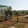 foto 3 - Girasole terreno agricolo a Ogliastra in Vendita