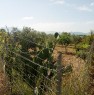 foto 1 - Girasole terreno agricolo a Ogliastra in Vendita