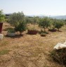 foto 0 - Girasole terreno agricolo a Ogliastra in Vendita