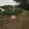 foto 4 - Torano Castello terreno agricolo a Cosenza in Vendita