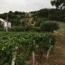 foto 1 - Torano Castello terreno agricolo a Cosenza in Vendita