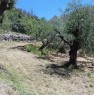 foto 4 - Terreno agricolo localit Fonte Bianca a Roma in Vendita