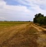 foto 1 - Alghero pressi aeroporto militare terreno agricolo a Sassari in Vendita