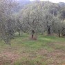 foto 3 - San Miniato terreno agricolo a Pisa in Vendita