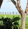 foto 4 - Roseto degli Abruzzi bungalow in muratura a Teramo in Affitto
