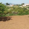 foto 3 - Balestrate terreno agricolo a Palermo in Vendita