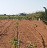 foto 0 - Balestrate terreno agricolo a Palermo in Vendita