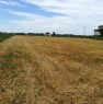 foto 3 - Pal terreno agricolo in localit Acquabona a Verona in Vendita