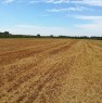 foto 2 - Pal terreno agricolo in localit Acquabona a Verona in Vendita