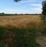 foto 1 - Pal terreno agricolo in localit Acquabona a Verona in Vendita