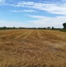 foto 0 - Pal terreno agricolo in localit Acquabona a Verona in Vendita
