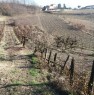 foto 1 - Monleale terreni in zona collinare a Alessandria in Vendita