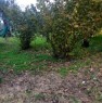 foto 2 - Giffoni Valle Piana appezzamenti terreno agricolo a Salerno in Vendita