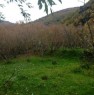 foto 0 - Giffoni Valle Piana appezzamenti terreno agricolo a Salerno in Vendita