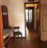 foto 1 - Montemignaio appartamento a Arezzo in Affitto