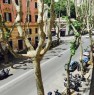 foto 1 - Roma cedesi attivit di affittacamere a Roma in Vendita