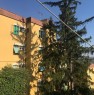 foto 4 - Osimo appartamento vicino al centro a Ancona in Vendita