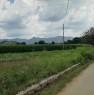 foto 3 - Appezzamento di terreno agricolo a Pietravairano a Caserta in Vendita