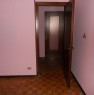 foto 5 - Ceregnano zona centrale miniappartamento a Rovigo in Vendita