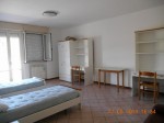 Annuncio affitto Urbino camera doppia in appartamento