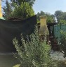 foto 40 - Polesella casa a Rovigo in Vendita