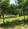 foto 3 - Ascoli Piceno terreno agricolo a Ascoli Piceno in Vendita