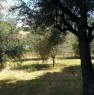 foto 2 - Ascoli Piceno terreno agricolo a Ascoli Piceno in Vendita