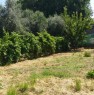 foto 0 - Ascoli Piceno terreno agricolo a Ascoli Piceno in Vendita