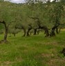 foto 0 - Pianella rudere con terreno agricolo a Pescara in Vendita