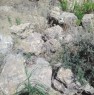 foto 6 - Cerda terreno per apertura cava a Palermo in Vendita