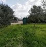 foto 0 - Alghero zona monte Pedrosu terreno agricolo a Sassari in Vendita