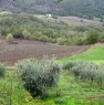 foto 3 - Montanaldo terreno seminativo pianeggiante a Perugia in Vendita