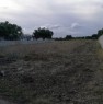 foto 4 - Pulsano terreno agricolo a Taranto in Vendita