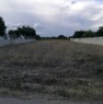 foto 0 - Pulsano terreno agricolo a Taranto in Vendita